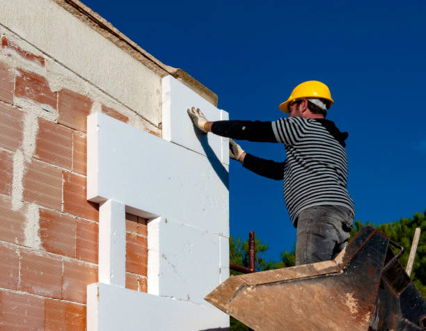 Best Commercial Insulation in Paris, TN