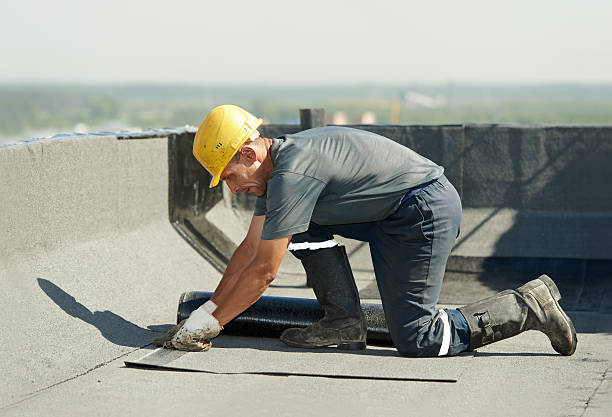 Best Insulation Installation Services in Paris, TN