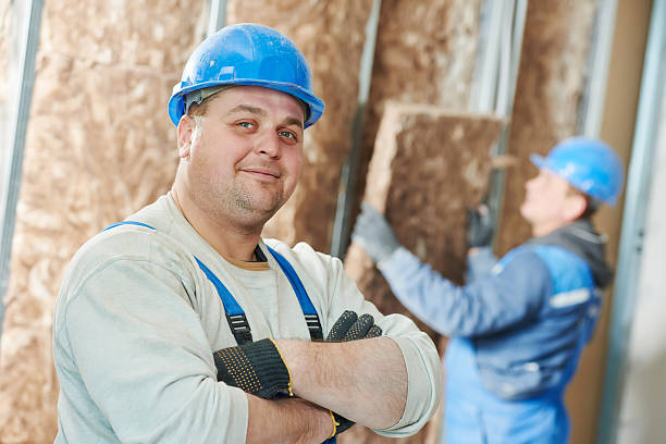 Best Insulation Installation Services in Paris, TN
